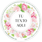 toallitas para boda en capsula push clean modelo 7